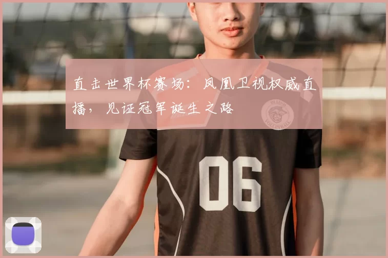 直击世界杯赛场：凤凰卫视权威直播，见证冠军诞生之路