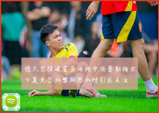 德天空报道霍芬海姆中场普勒梅尔今夏免签加盟斯图加特引发关注