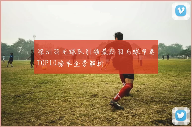 深圳羽毛球队引领最新羽毛球节奏TOP10榜单全景解析