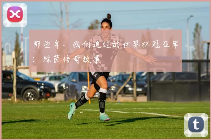 那些年，我们追过的世界杯冠亚军：绿茵传奇故事