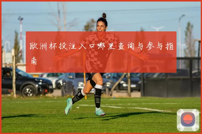 欧洲杯投注入口哪里查询与参与指南