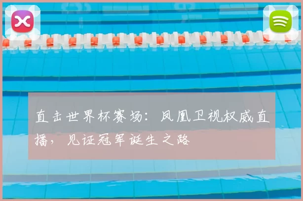 直击世界杯赛场:凤凰卫视权威直播,见证冠军诞生之路