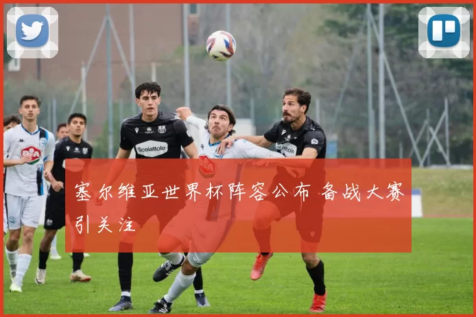 塞尔维亚世界杯阵容公布 备战大赛引关注